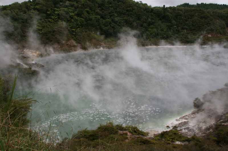 Nieuw-Zeeland 2011 - 0688